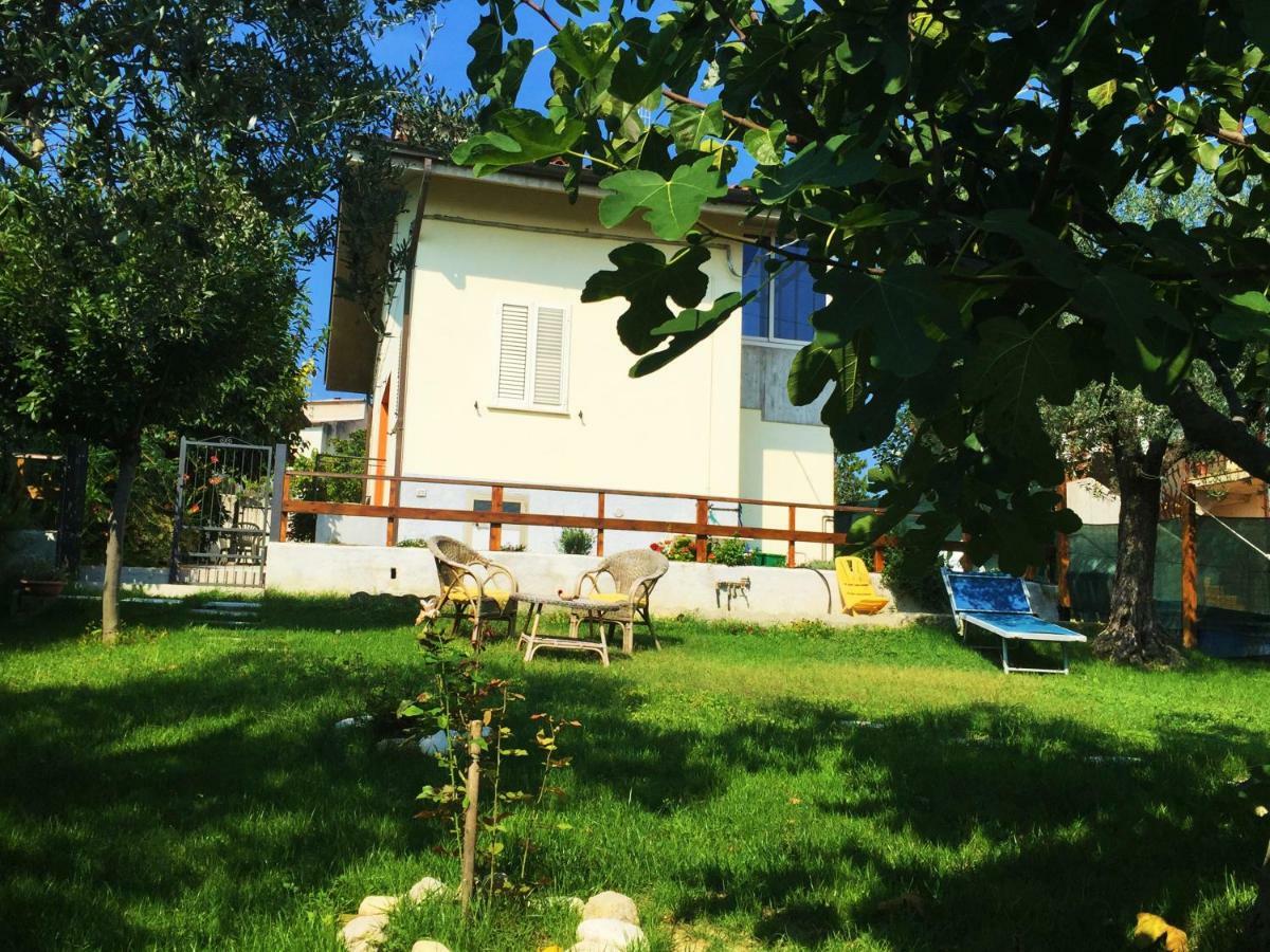 Il Gruccione Bed & Breakfast Sant'Omero Ngoại thất bức ảnh